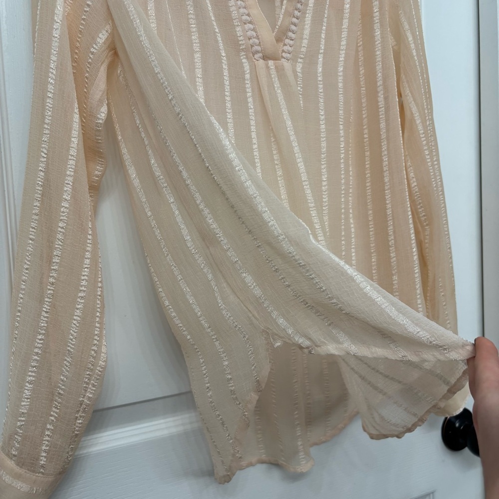 Sheer Blush Stripe Blouse | Chelsea & Theodore S - Picture 5 of 9